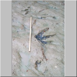 100_0982 (2009-28-07)m.JPG